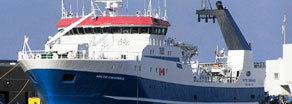 Arctic Endurance